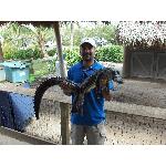 Rikard på Gator Park i Everglades traxt utanför Miami (2007-03-04)